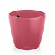 LECHUZA CLASSICO Color sunset crush LECHUZA CLASSICO Color sunset crush
