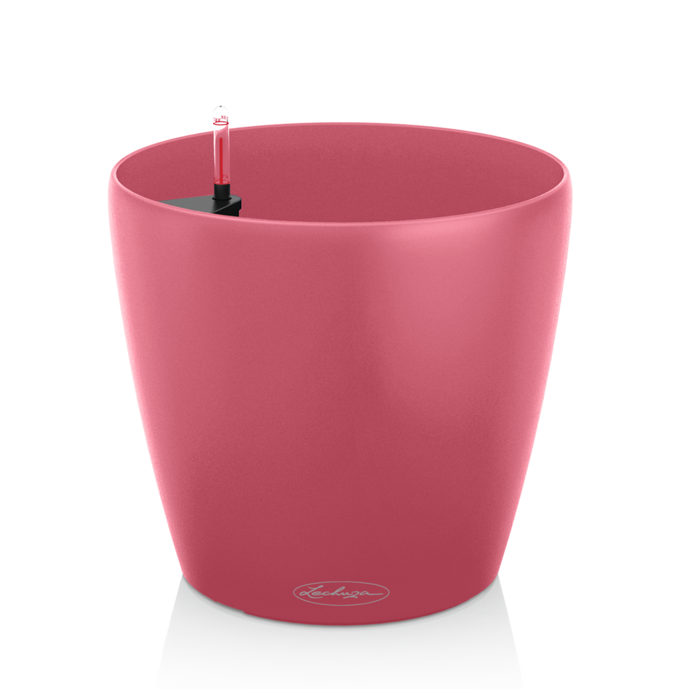 LECHUZA CLASSICO Coup de cœur pour le coucher de soleil en couleur