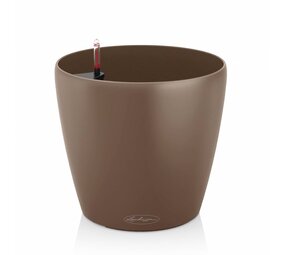 CLASSICO Color muskat CLASSICO Color muskat