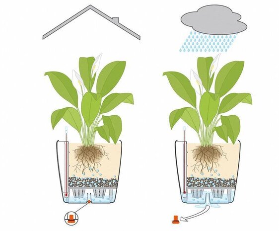 LECHUZA CLASSICO Color muscade LECHUZA CLASSICO Color muscade