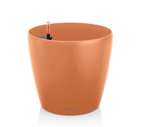 CLASSICO Color Mango Slush CLASSICO Color Mango Slush