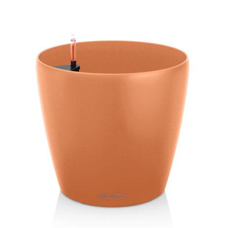 LECHUZA CLASSICO Color mango slush