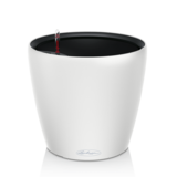 CLASSICO Color LS blanc