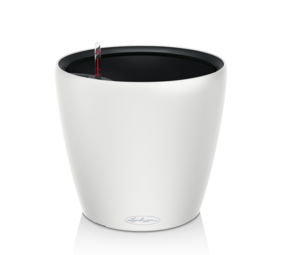 CLASSICO Color LS white