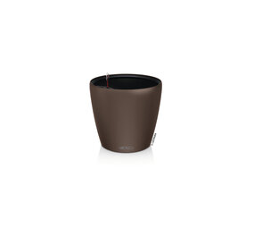 CLASSICO Color LS muskat CLASSICO Color LS muskat