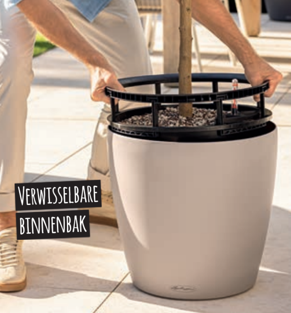 LECHUZA CLASSICO Color LS leisteengrijs