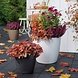 LECHUZA CLASSICO Color slate LECHUZA CLASSICO Color slate