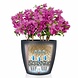 LECHUZA CLASSICO Color slate LECHUZA CLASSICO Color slate