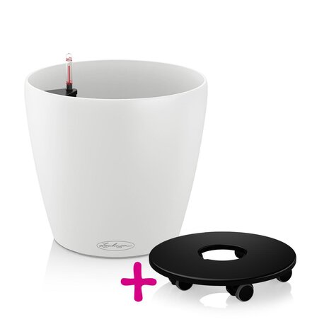 CLASSICO Color 43 wit + Plantenroller