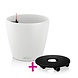 CLASSICO Color 43 wit + Plantenroller CLASSICO Color 43 wit + Plantenroller