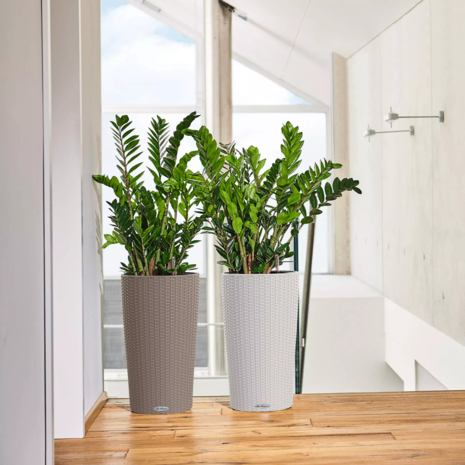 LECHUZA CILINDRO Cottage blanc