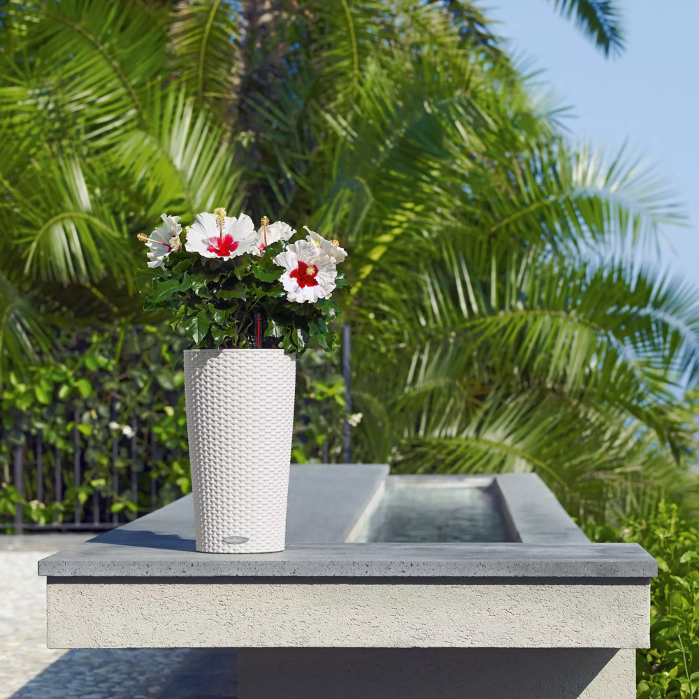 LECHUZA CILINDRO Cottage Vaso A Colonna 23 Cm Grigio Chiaro – Con Sistema D'irrigazione, Per Interno/esterno