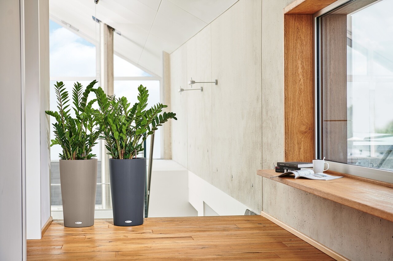 LECHUZA CILINDRO Color brun sable