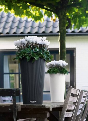 LECHUZA CILINDRO Color blanc