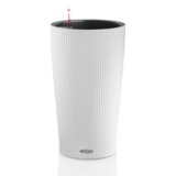 CILINDRO Color blanc