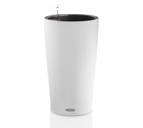 CILINDRO Color blanc