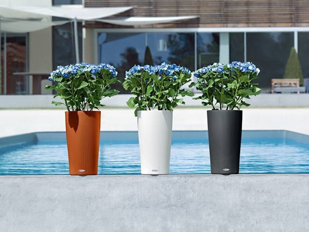 LECHUZA CILINDRO Color gris ardoise