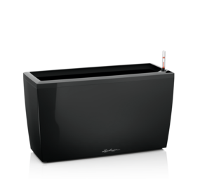 CARARO black high-gloss