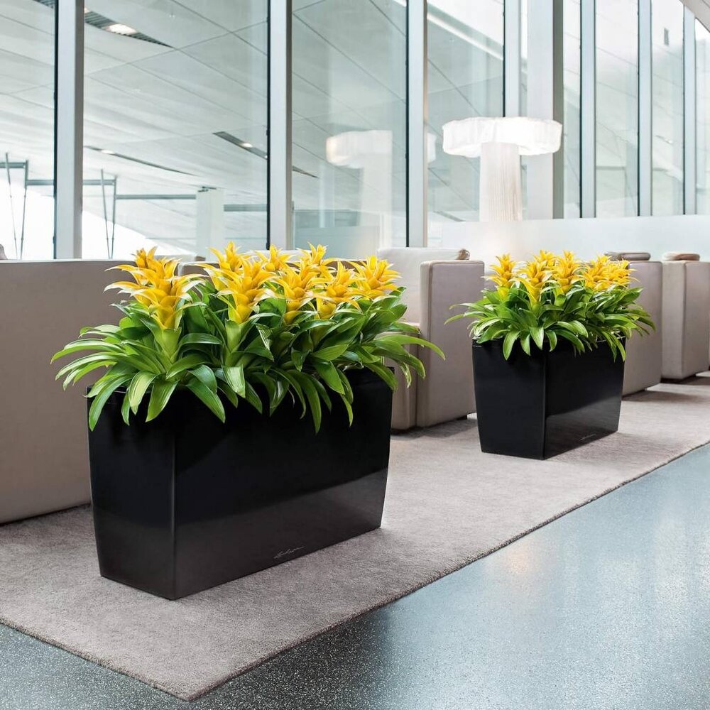 CARARO black high-gloss CARARO black high-gloss