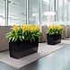 CARARO black high-gloss CARARO black high-gloss