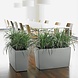 CARARO silver metallic CARARO silver metallic