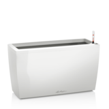 CARARO blanc brillant