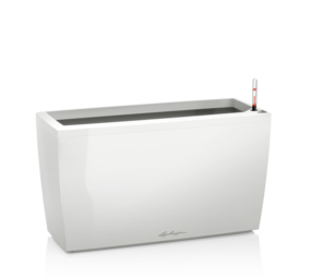 CARARO white high-gloss CARARO white high-gloss