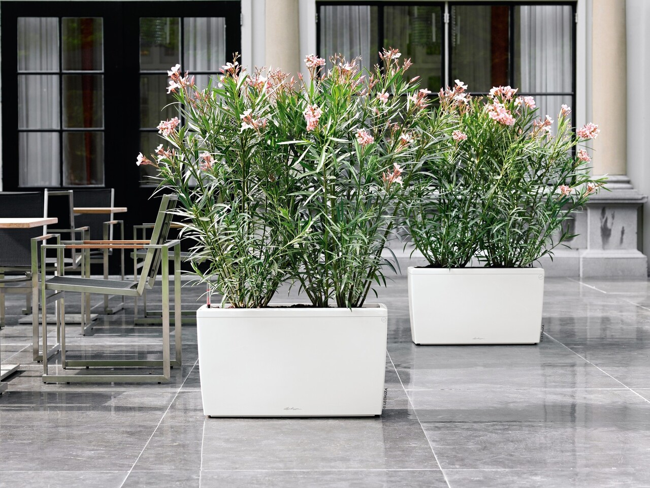 CARARO white high-gloss CARARO white high-gloss