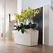 CARARO white high-gloss CARARO white high-gloss