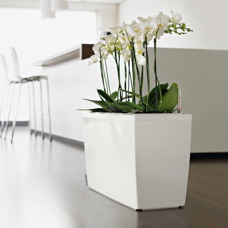 CARARO white high-gloss CARARO white high-gloss