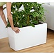CARARO white high-gloss CARARO white high-gloss