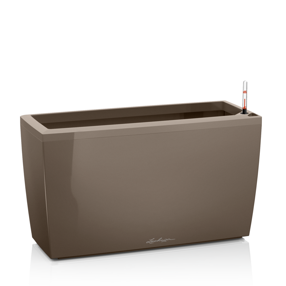 CARARO taupe hochglanz