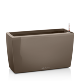 CARARO taupe hochglanz CARARO taupe hochglanz