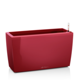 CARARO scarlet rot hochglanz CARARO scarlet rot hochglanz