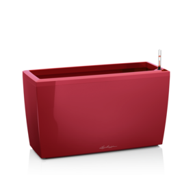 CARARO scarlet red high-gloss