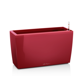 CARARO scarlet rot hochglanz CARARO scarlet rot hochglanz