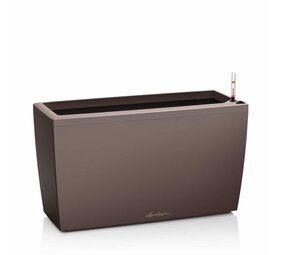 CARARO espresso métallisé CARARO espresso métallisé