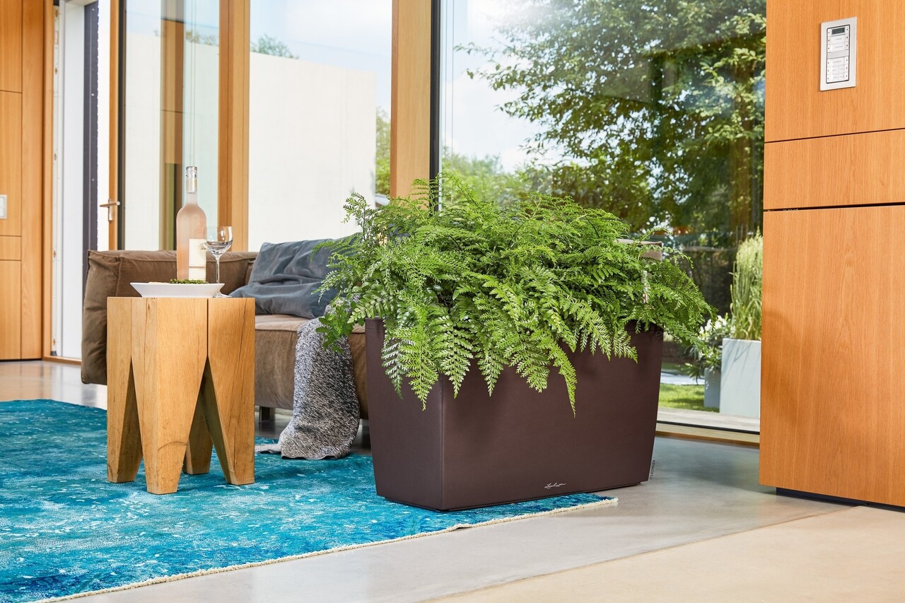 LECHUZA CARARO espresso metallic