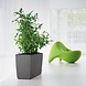 CARARO charcoal metallic CARARO charcoal metallic