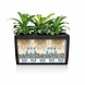 CARARO charcoal metallic CARARO charcoal metallic