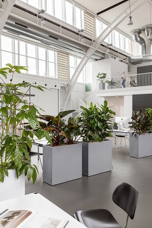 LECHUZA CANTO Stone wide stone grey LECHUZA CANTO Stone wide stone grey