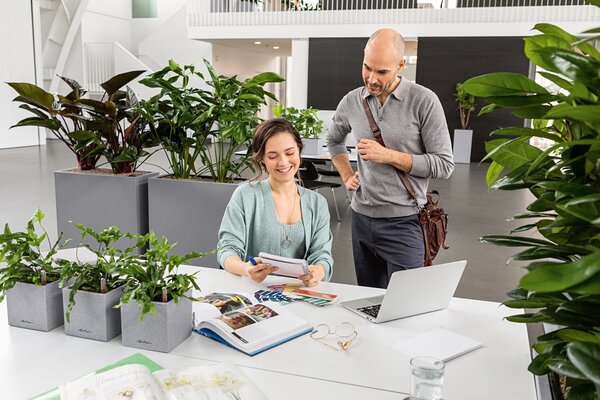 LECHUZA CANTO Stone wide stone grey LECHUZA CANTO Stone wide stone grey