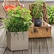 LECHUZA CANTO Stone low sand beige LECHUZA CANTO Stone low sand beige