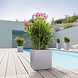 LECHUZA CANTO Stone low stone grey LECHUZA CANTO Stone low stone grey