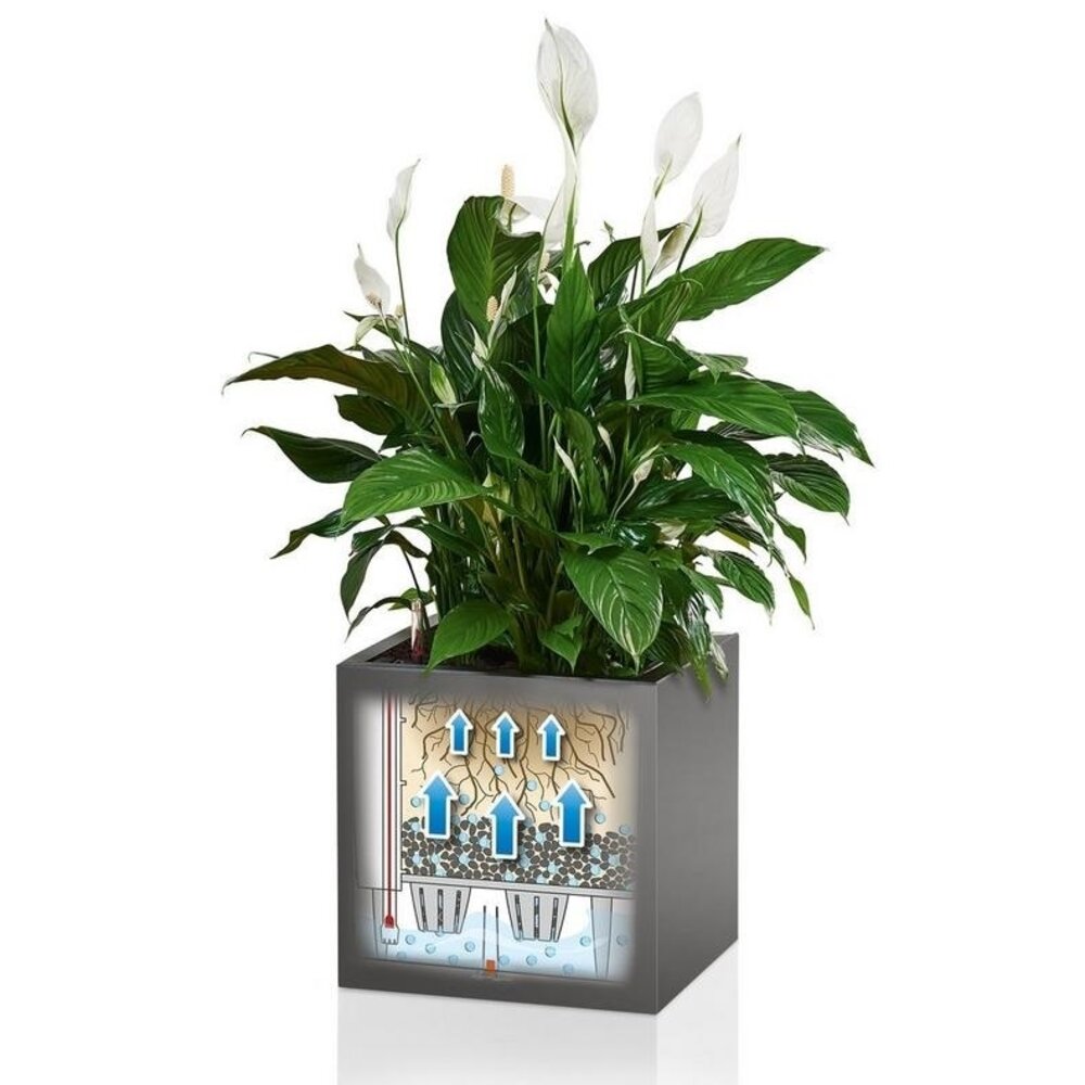 LECHUZA CANTO Stone low LED quarzweiß