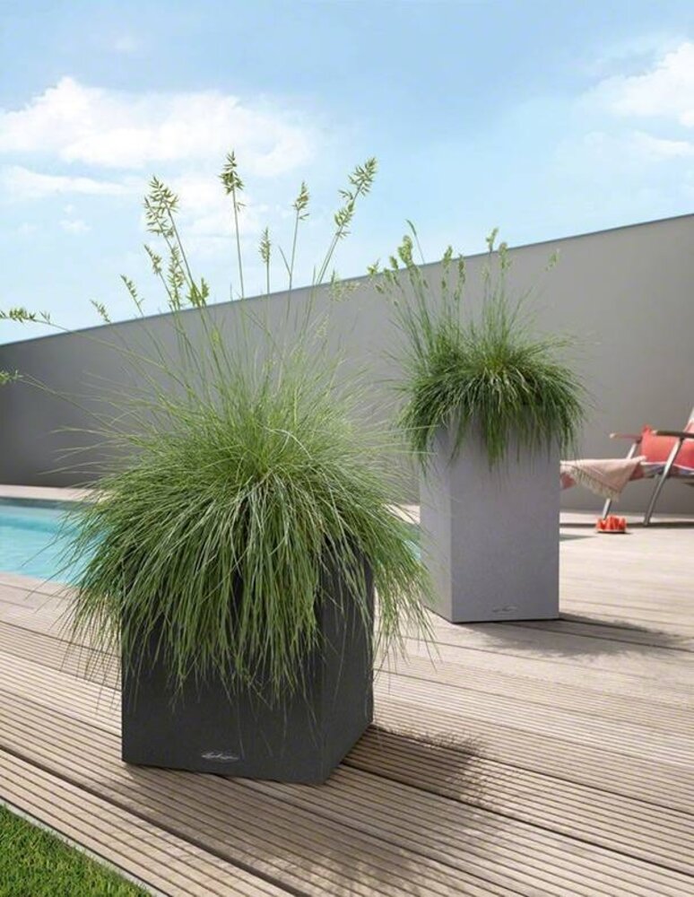 LECHUZA CANTO Stone low noir graphite LECHUZA CANTO Stone low noir graphite