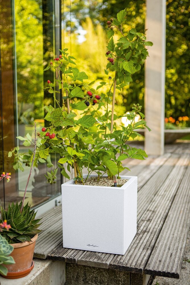 LECHUZA CANTO Stone quartz white