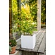 LECHUZA CANTO Stone blanc quartz LECHUZA CANTO Stone blanc quartz