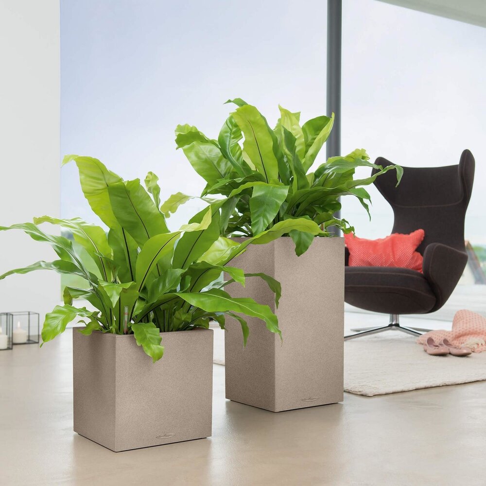 LECHUZA CANTO Stone high sandbeige