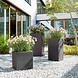 LECHUZA CANTO Stone high graphite black LECHUZA CANTO Stone high graphite black